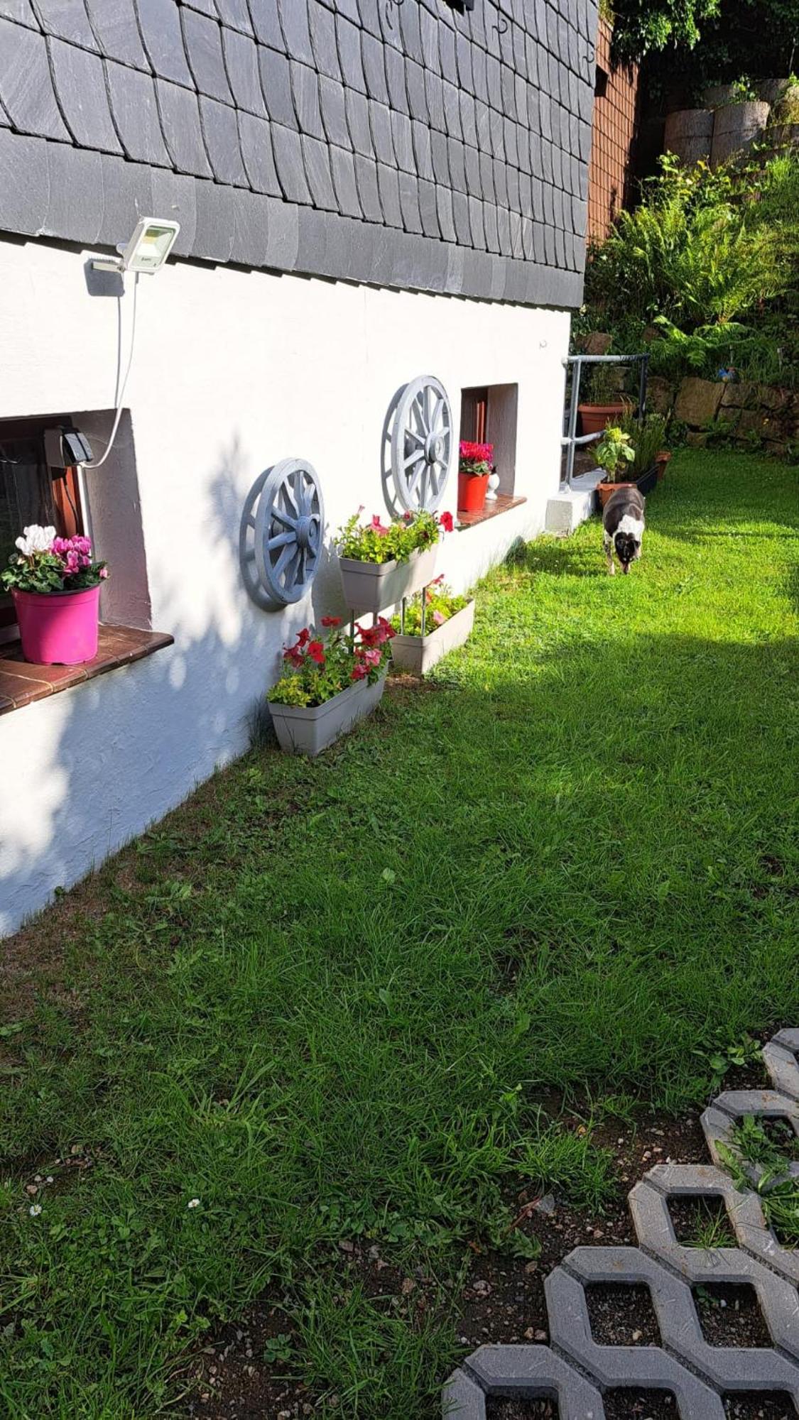 Appartement Friedrichsruh